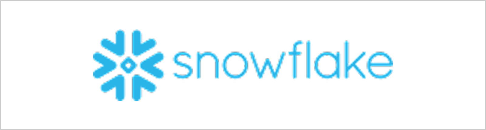 Snowflake logo with blue snowflake icon.